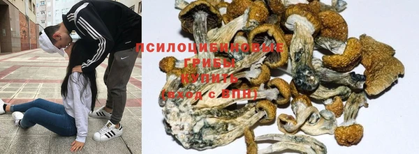 амф Алзамай
