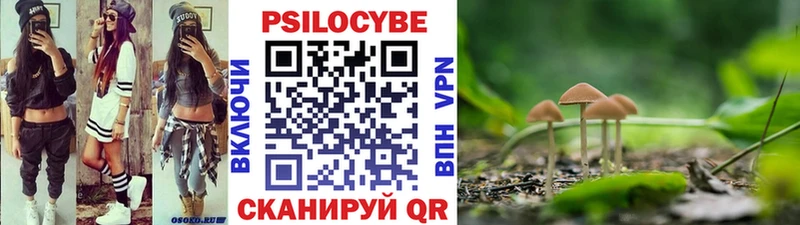 omg ТОР  Княгинино  Псилоцибиновые грибы GOLDEN TEACHER 